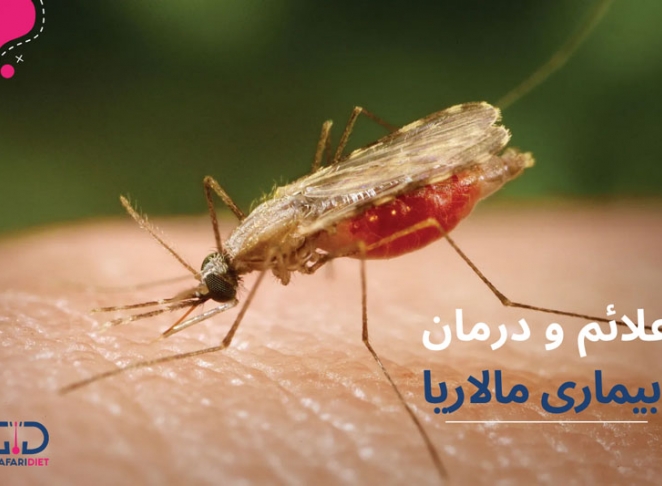 بیماری مالاریا خطرناک است؟ آیا مالاریا در ایران هم وجود دارد؟