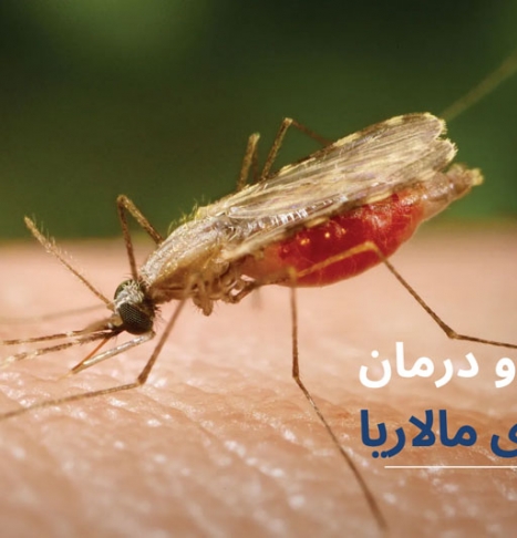 بیماری مالاریا خطرناک است؟ آیا مالاریا در ایران هم وجود دارد؟